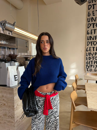 Blue Knit Sweater Lumina