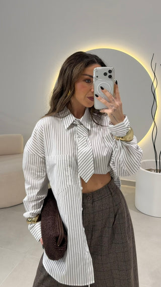 Diplomatic Shirt with Tie