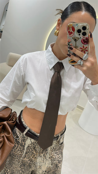 Brown Tie