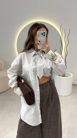 Diplomatic Shirt with Tie